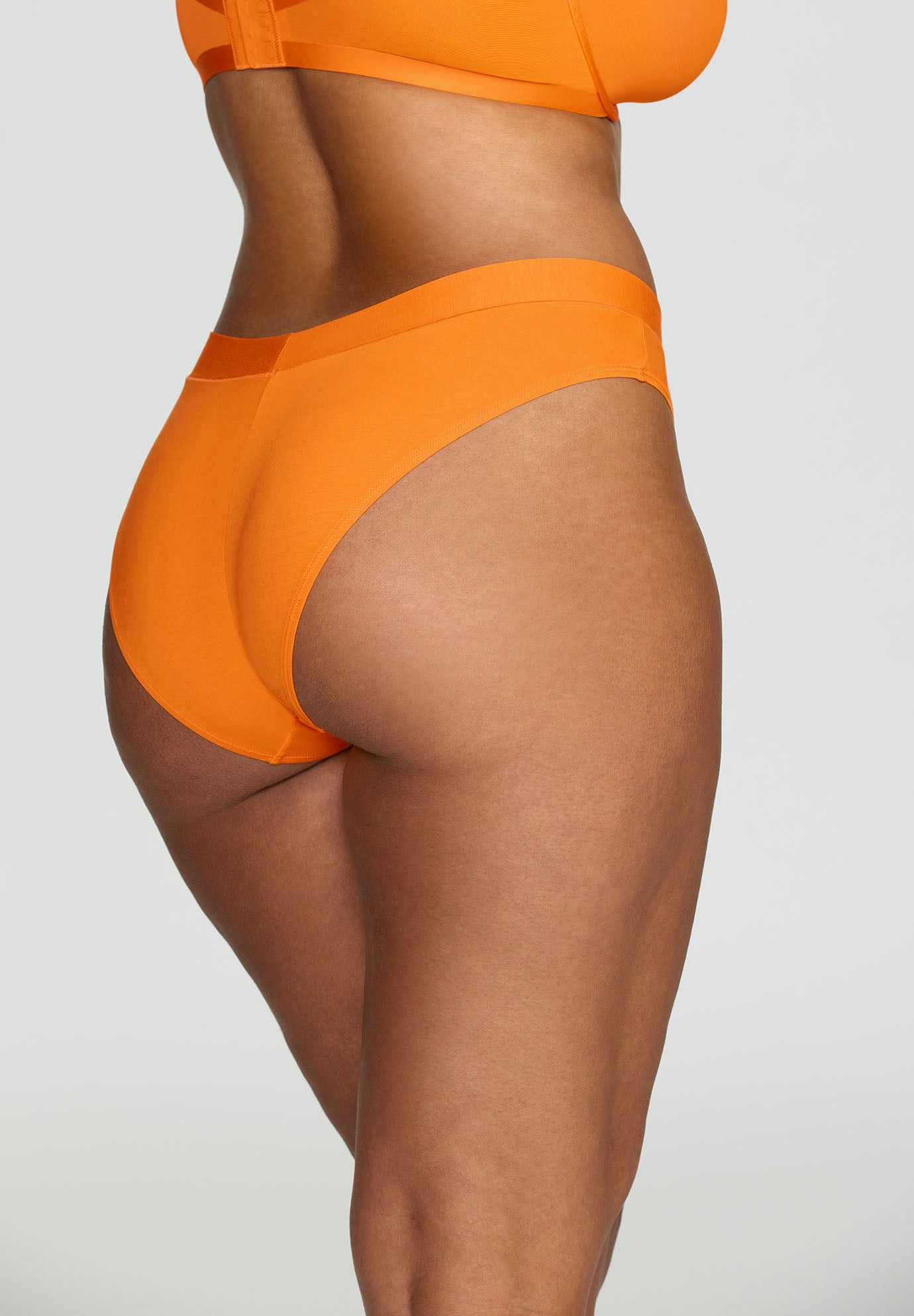 The Bikini - Modal image number 8