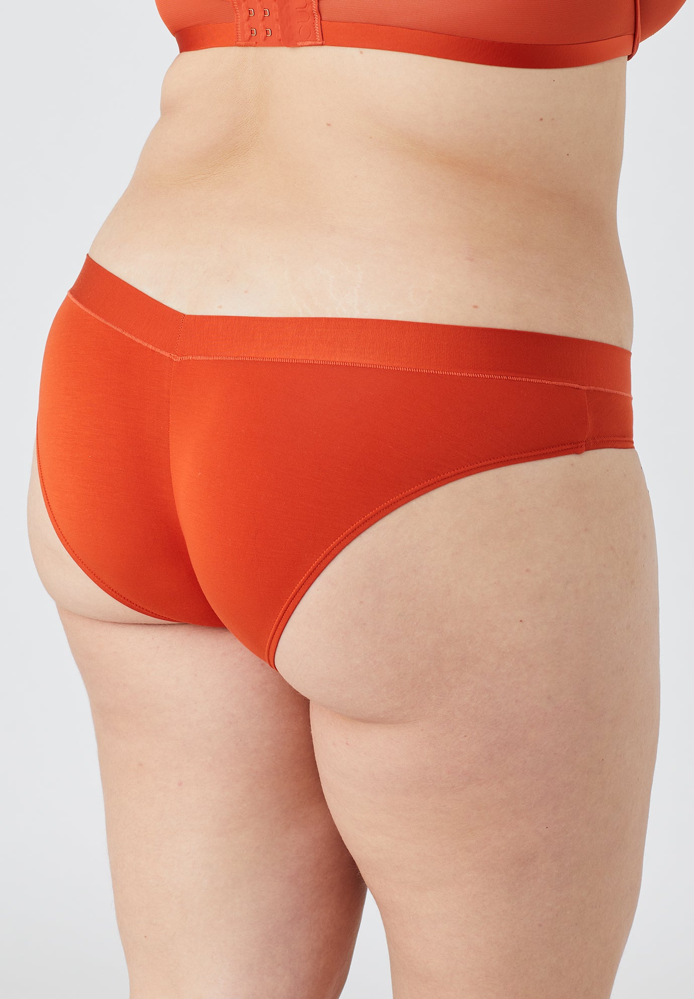 The Bikini - Modal image number 3