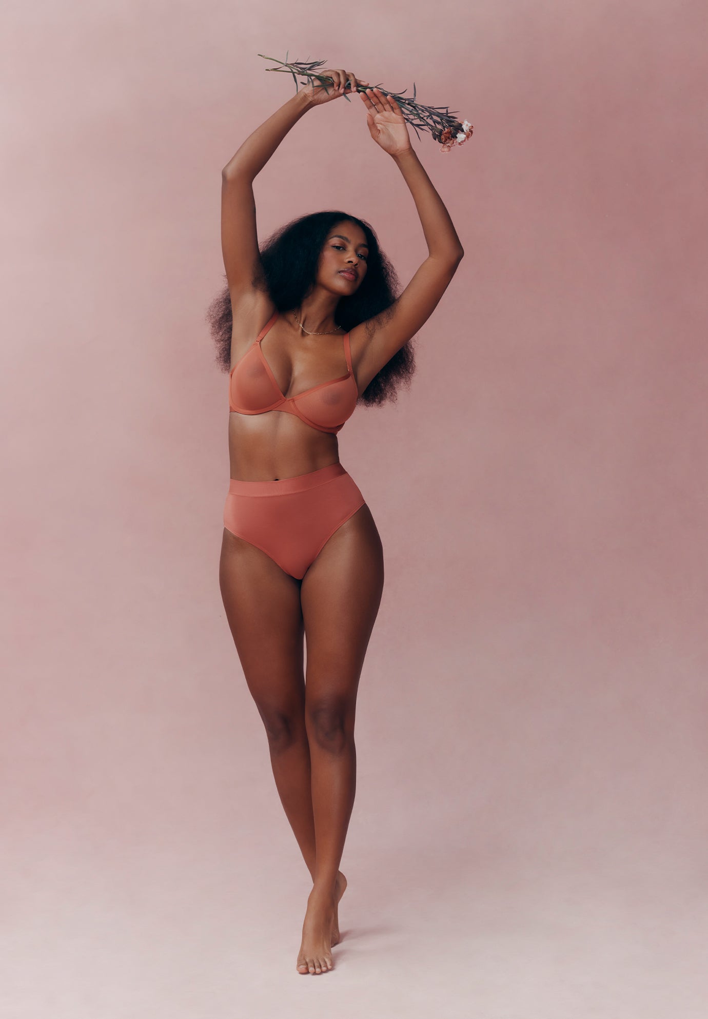 The Highwaist - Modal image number 6