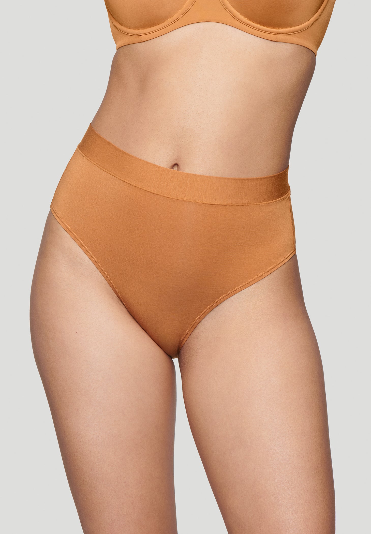 The Highwaist - Modal image number 2