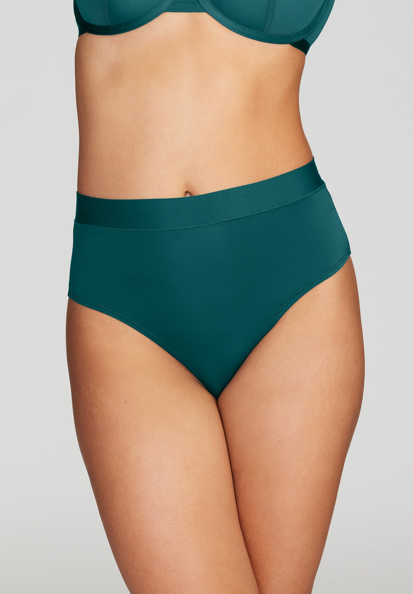 The Highwaist - Modal image number 0