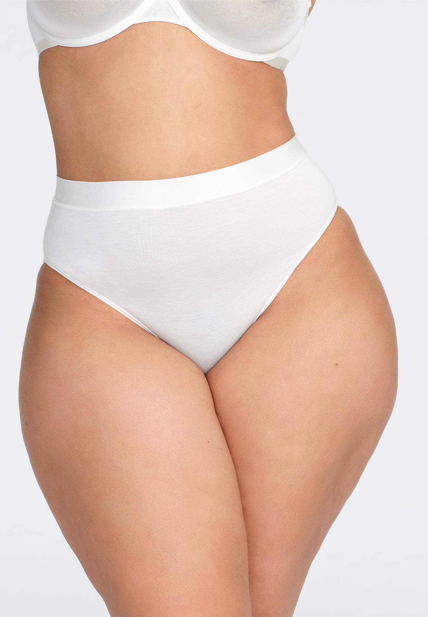 The Highwaist - Modal image number 0