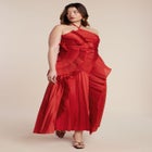 Pleated Ruffle Detail Gown image number null