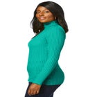 Ribbed Cotton Turtleneck Sweater image number null