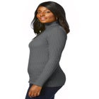 Ribbed Cotton Turtleneck Sweater image number null