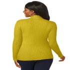 Ribbed Cotton Turtleneck Sweater image number 1