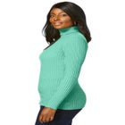 Ribbed Cotton Turtleneck Sweater image number null