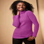 Ribbed Cotton Turtleneck Sweater image number null