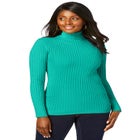Ribbed Cotton Turtleneck Sweater image number null