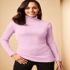 Ribbed Cotton Turtleneck Sweater image number null