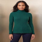 Ribbed Cotton Turtleneck Sweater image number 0