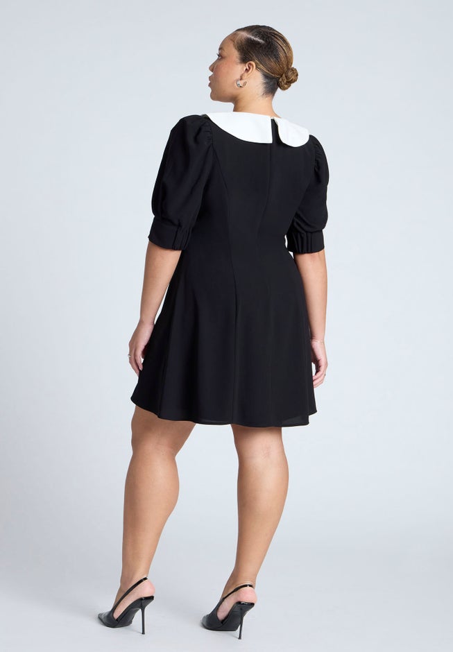 Contrast Collar Mini Dress image number 1