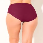 Chlorine Resistant Full Coverage Swim Brief image number 1
