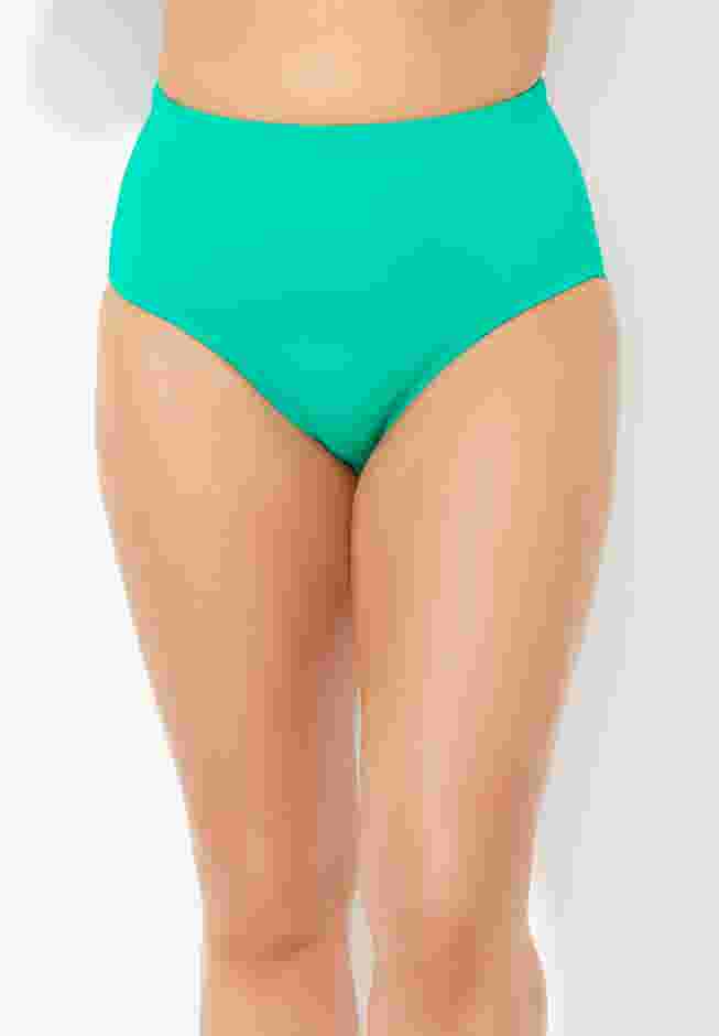 Chlorine Resistant Full Coverage Brief image number 0