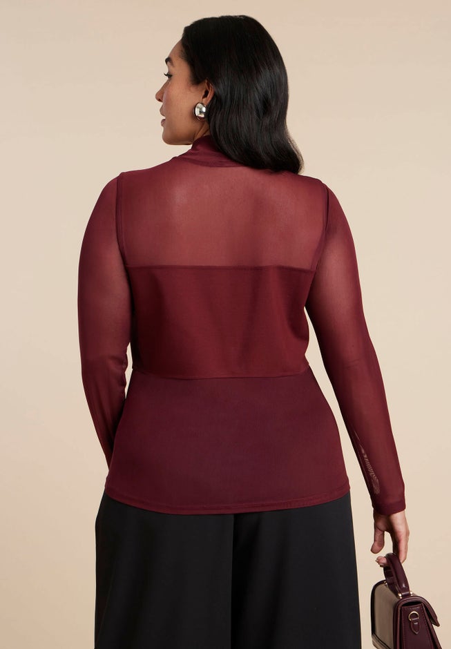 Paneled Sheer Turtleneck image number 1