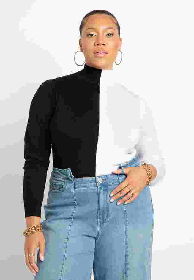 Vertical Colorblocked Turtleneck image number 0