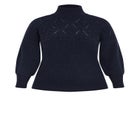 Elsa Pom Pom Sweater image number null