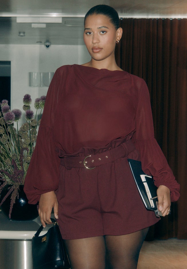 Sheer Balloon Sleeve Blouse image number 4