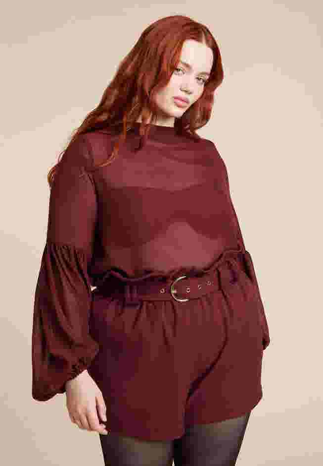 Sheer Balloon Sleeve Blouse image number 0