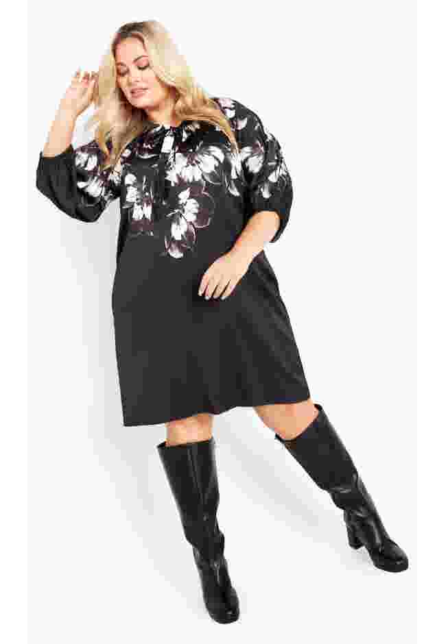 Lily Placement Dress image number 1