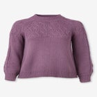 Pointelle Yoke Pullover Sweater image number 3