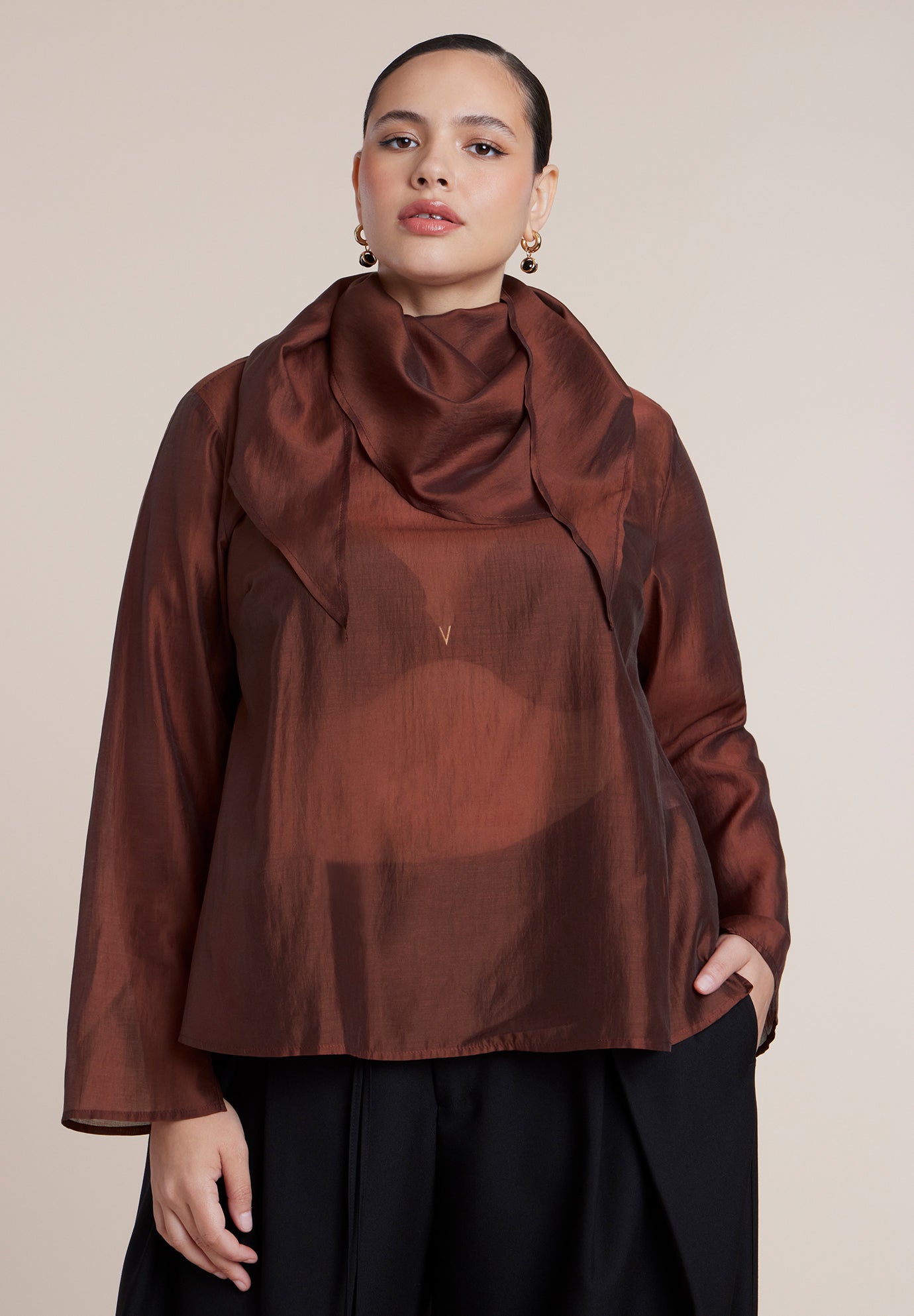 Sheer Scarf Blouse image number 0
