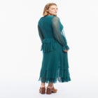 Long Sleeve Ruffled Mesh Maxi Dress image number 1